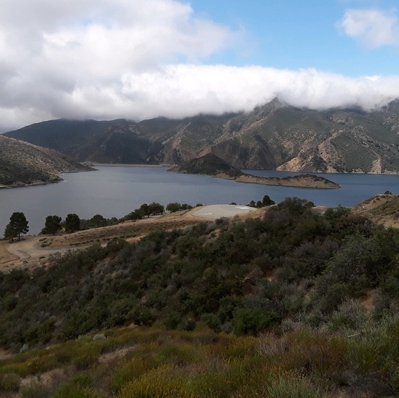 Meet your Posher, Guadalupe - Picture 1 of 1